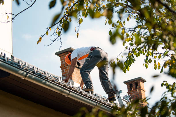 Best Flat Roof Repair Services  in Fruitridge Pocket, CA